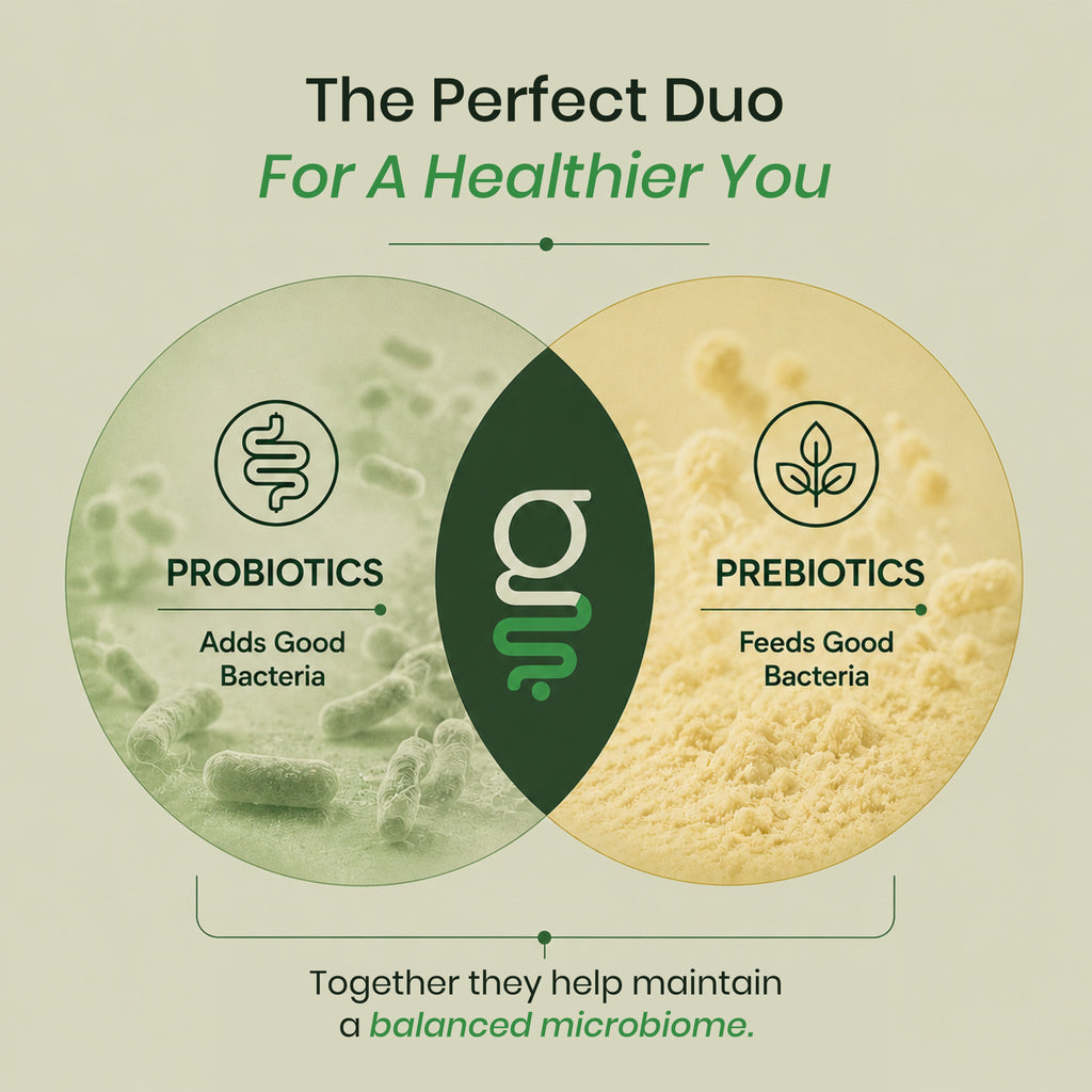 GUT365 — For Better Gut, Digestive Balance and Immunity