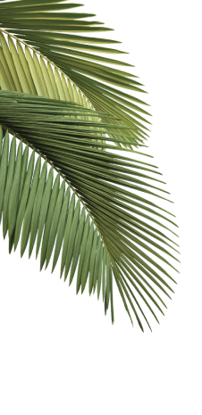 Background Image 1