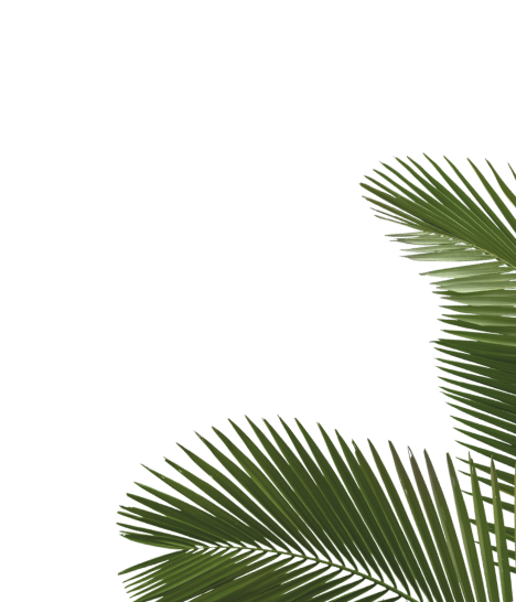 Background Image 2